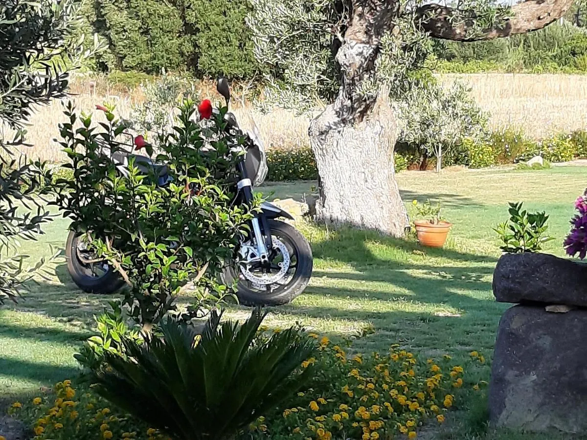 Agriturismo Is Solinas Masainas Italy